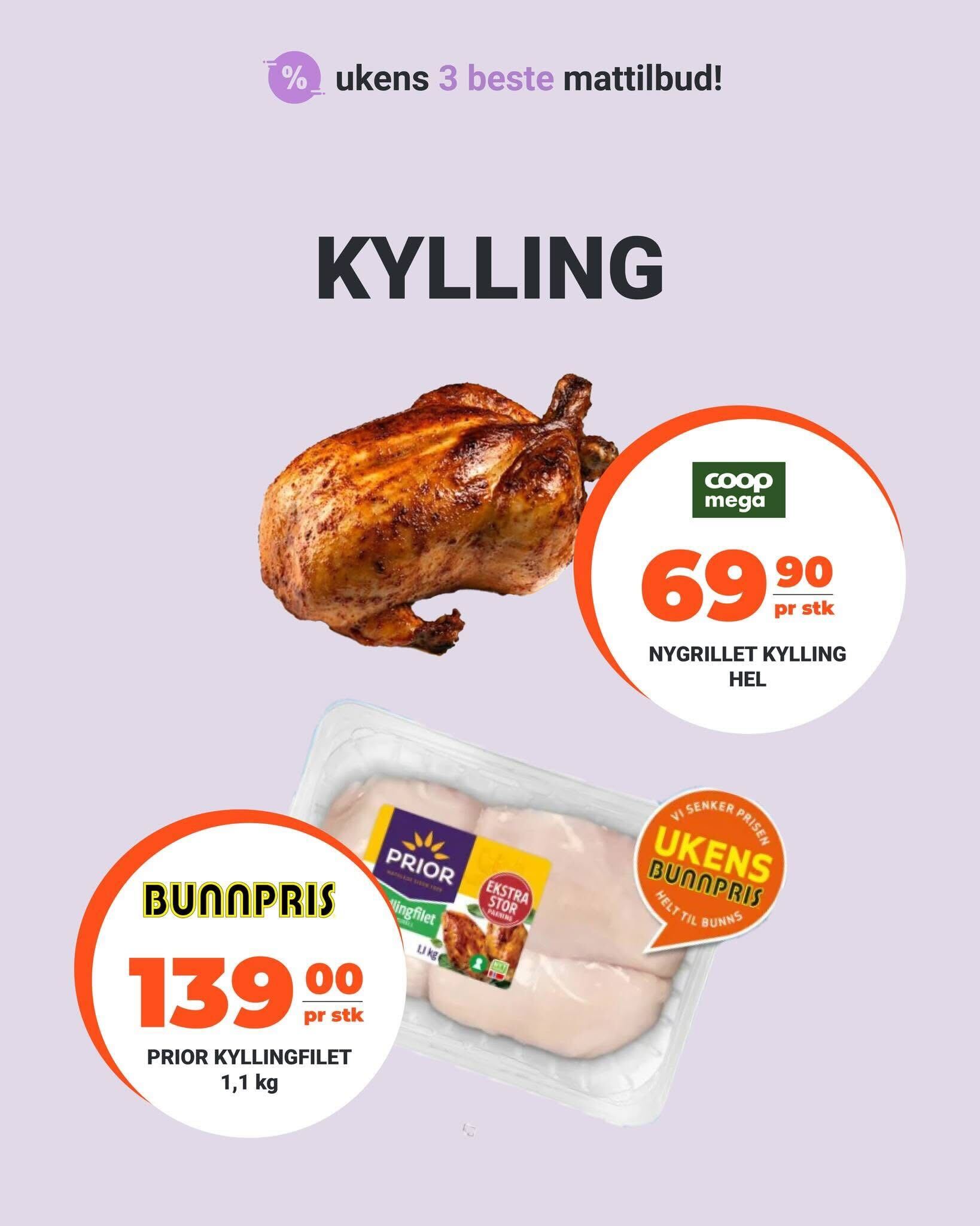 Kylling, Fjordland og P-Max